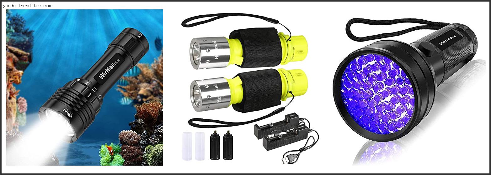 Top 10 Best Dive Light For Murky Water [2024]