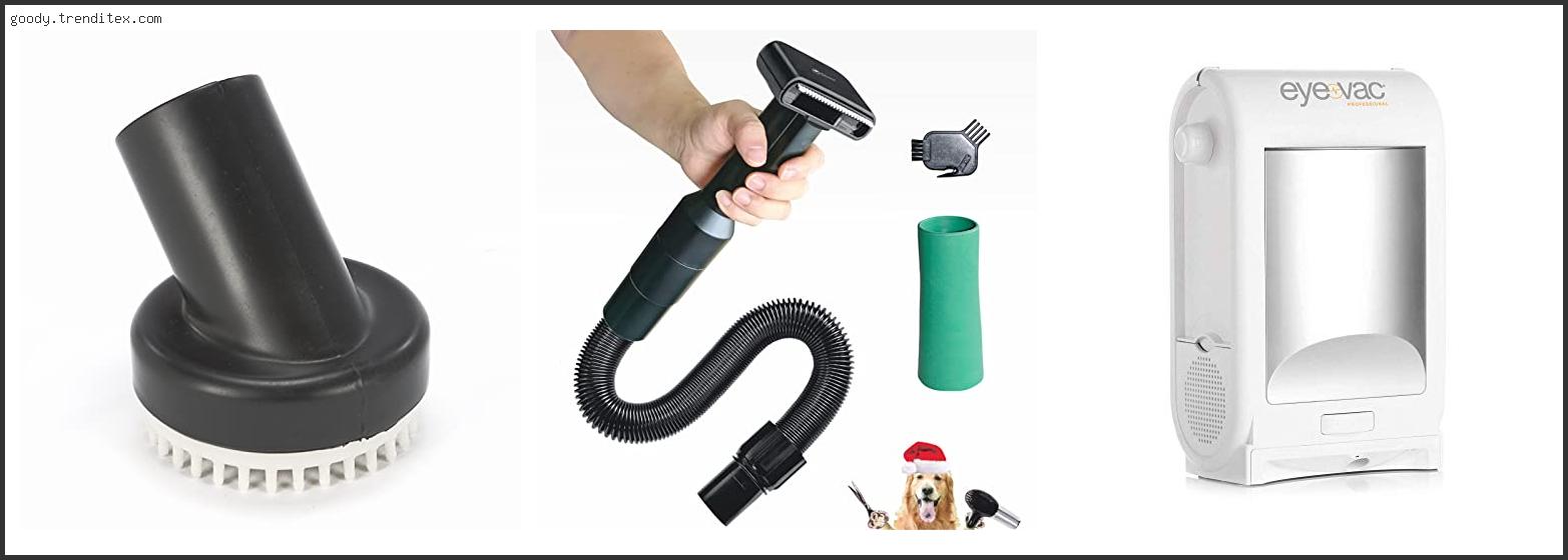 Top 10 Best Central Vacuum For Dog Hair [2025]