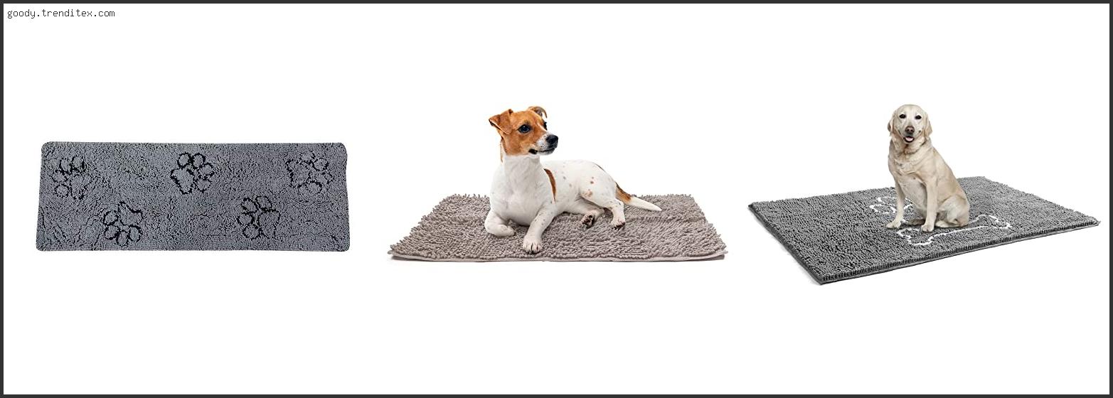 Top 10 Best Rug To Clean Dog Paws [2024]