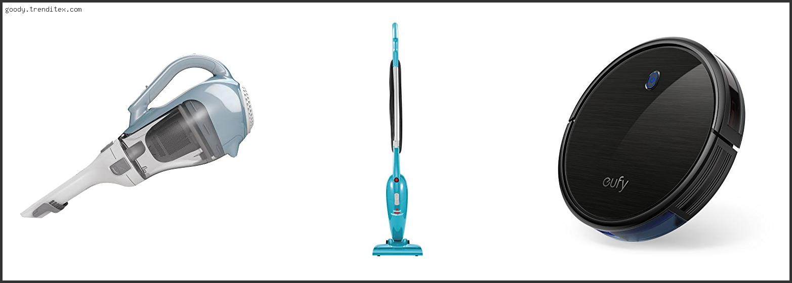 Best Vacuum Cleaner For Flea Control