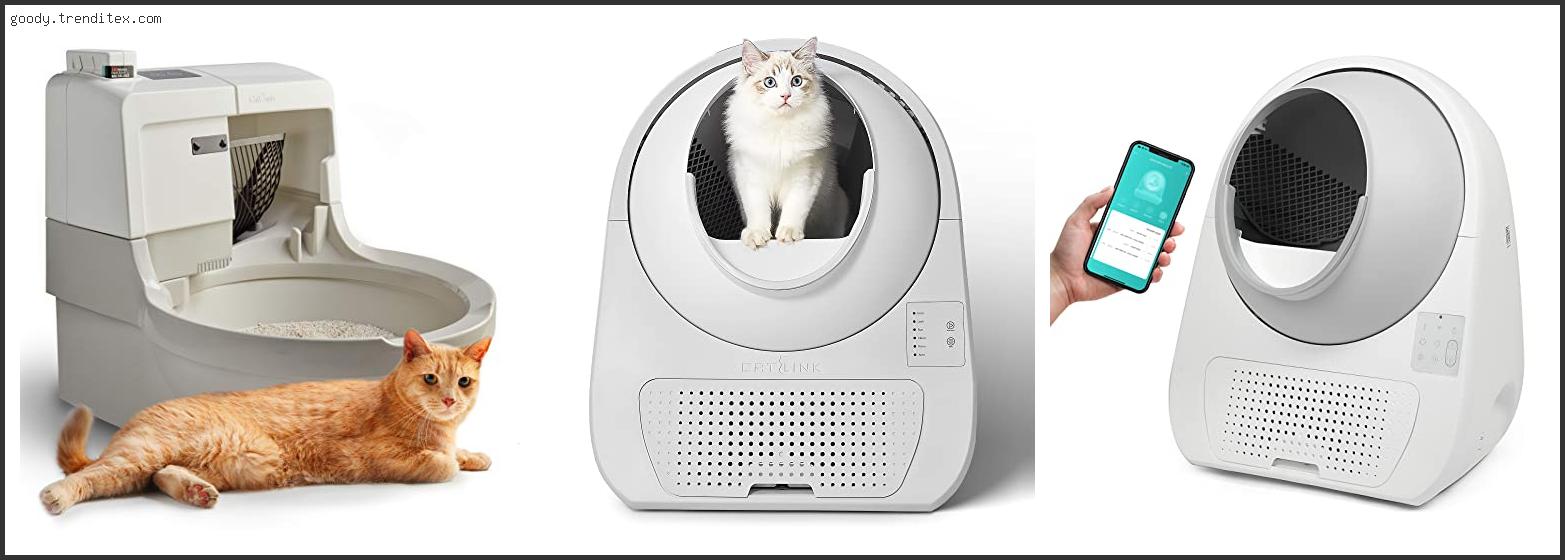 Top 10 Best Self Cleaning Litter Box For Multiple Cats [2024]