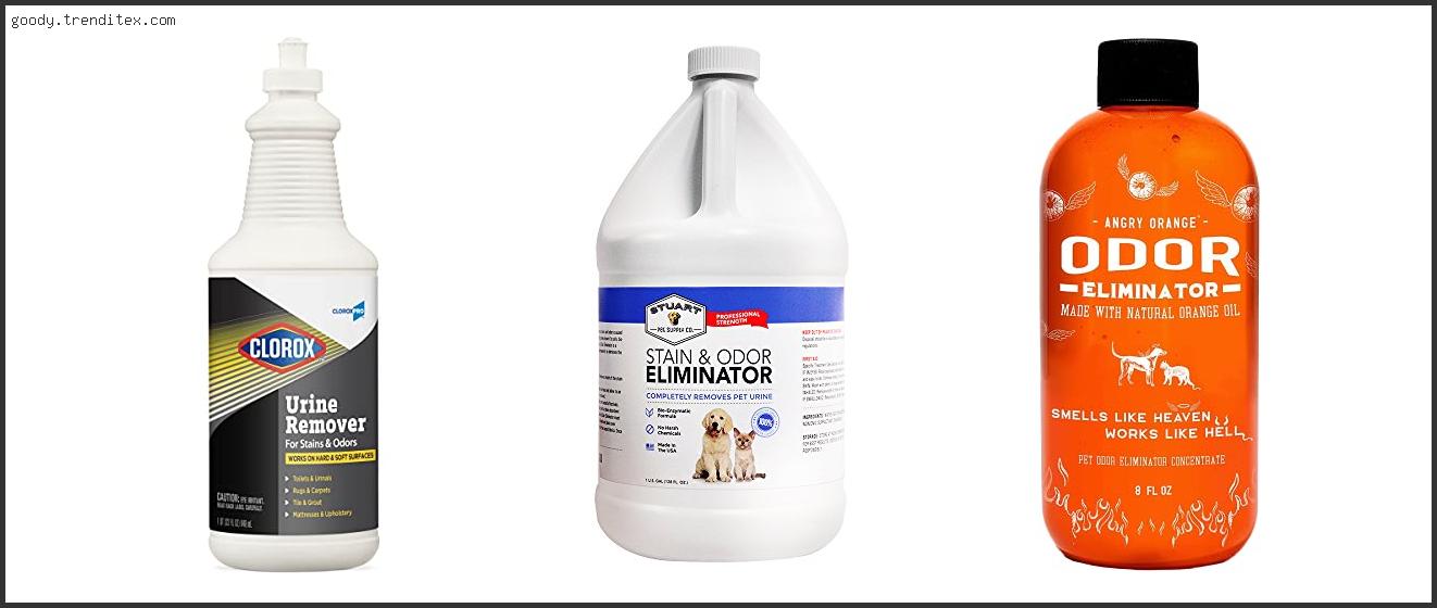 Top 10 Best Tile Cleaner For Pet Urine [2024]