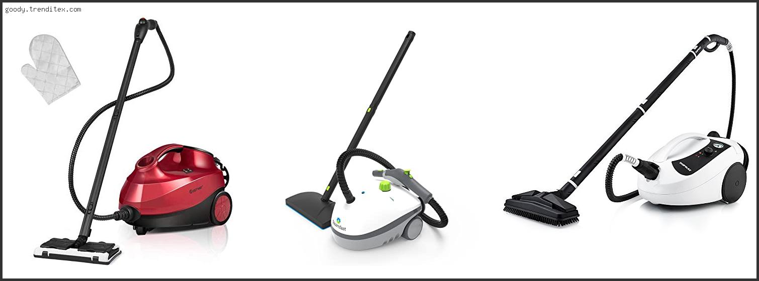 Top 10 Best Steam Cleaner For Bed Bugs [2024]