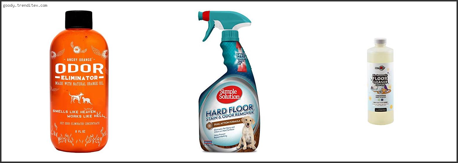 Top 10 Best Mopping Solution For Pet Urine [2024]