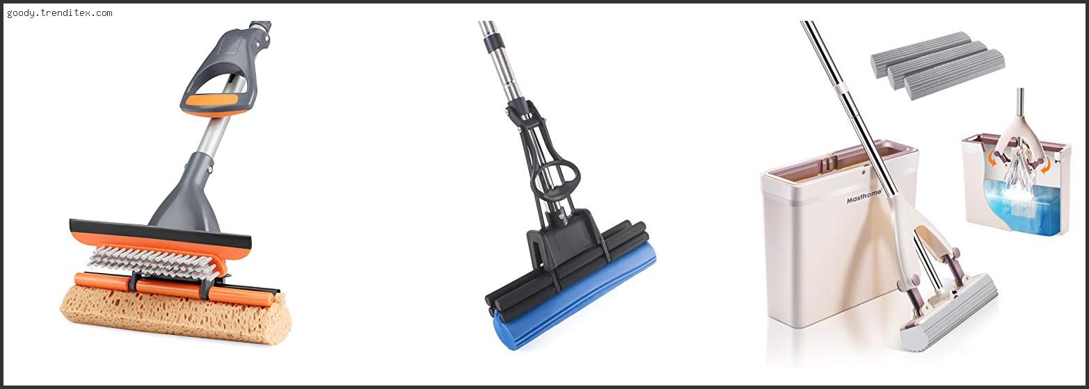 Top 10 Best Wet Sponge Mop [2024]