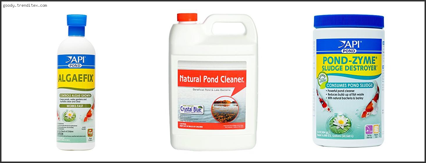 Best Pond Cleaner For Algae